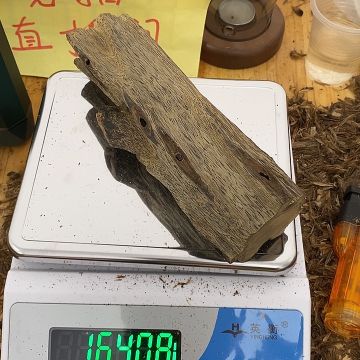 沉香沉香碎屑张勺子棋楠沉香母树164