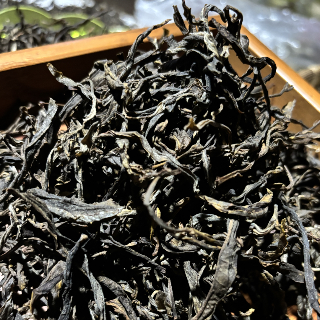 曼岗古树普洱生茶 头春头采2023年春