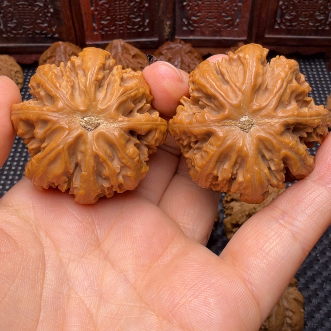 文玩核桃把件龙脊八棱03