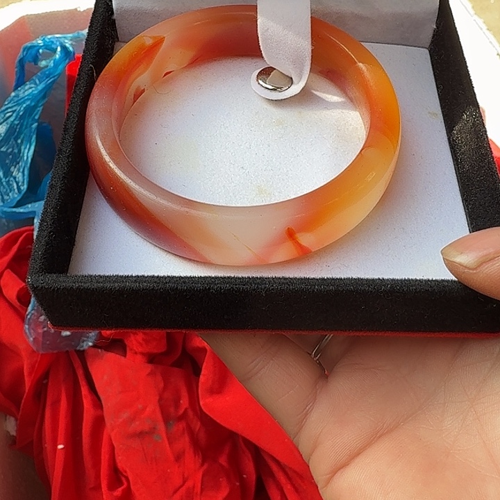 御***树扇子nsvzcjcsjaccajacn