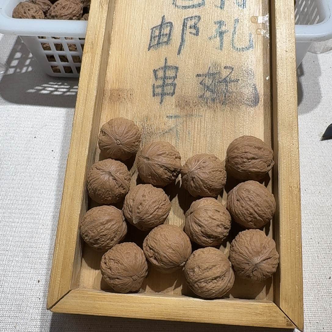 核桃手串/手链28号边22手串