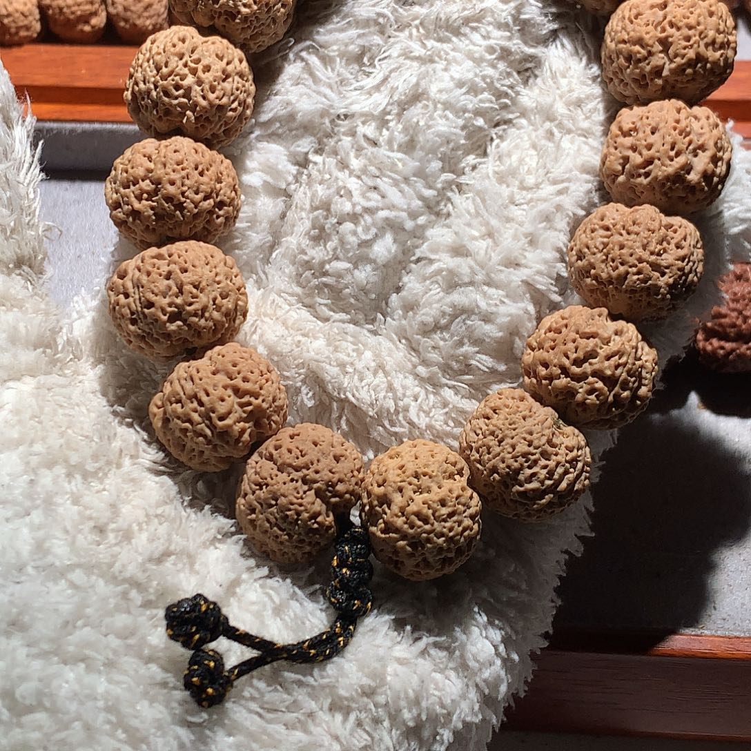 極***樂金刚菩提吊坠22超头雅虎熊猫菠萝蜜