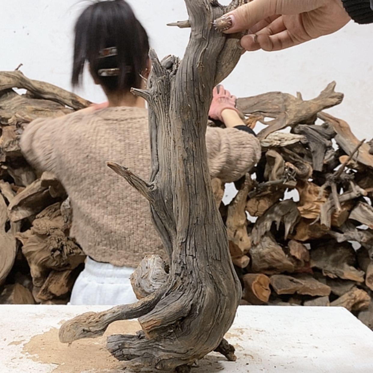 【闪购商品】柏木柏**赏我们都是好孩子