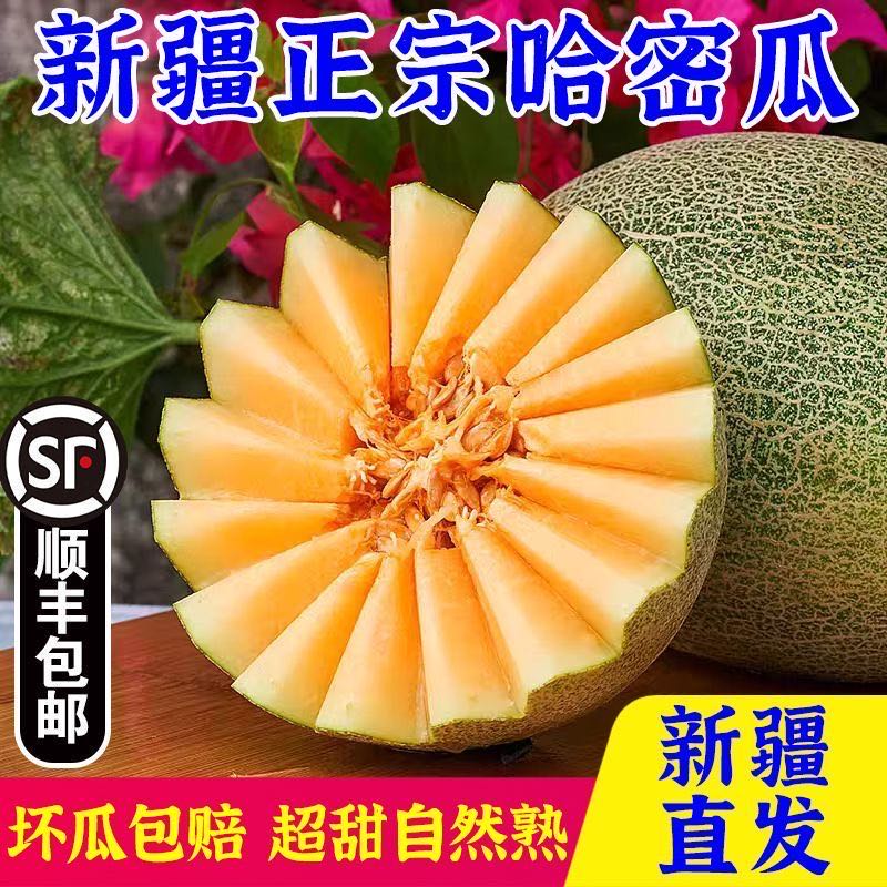 新疆吐鲁番西州蜜25号哈密瓜脆甜多汁应季新鲜水果