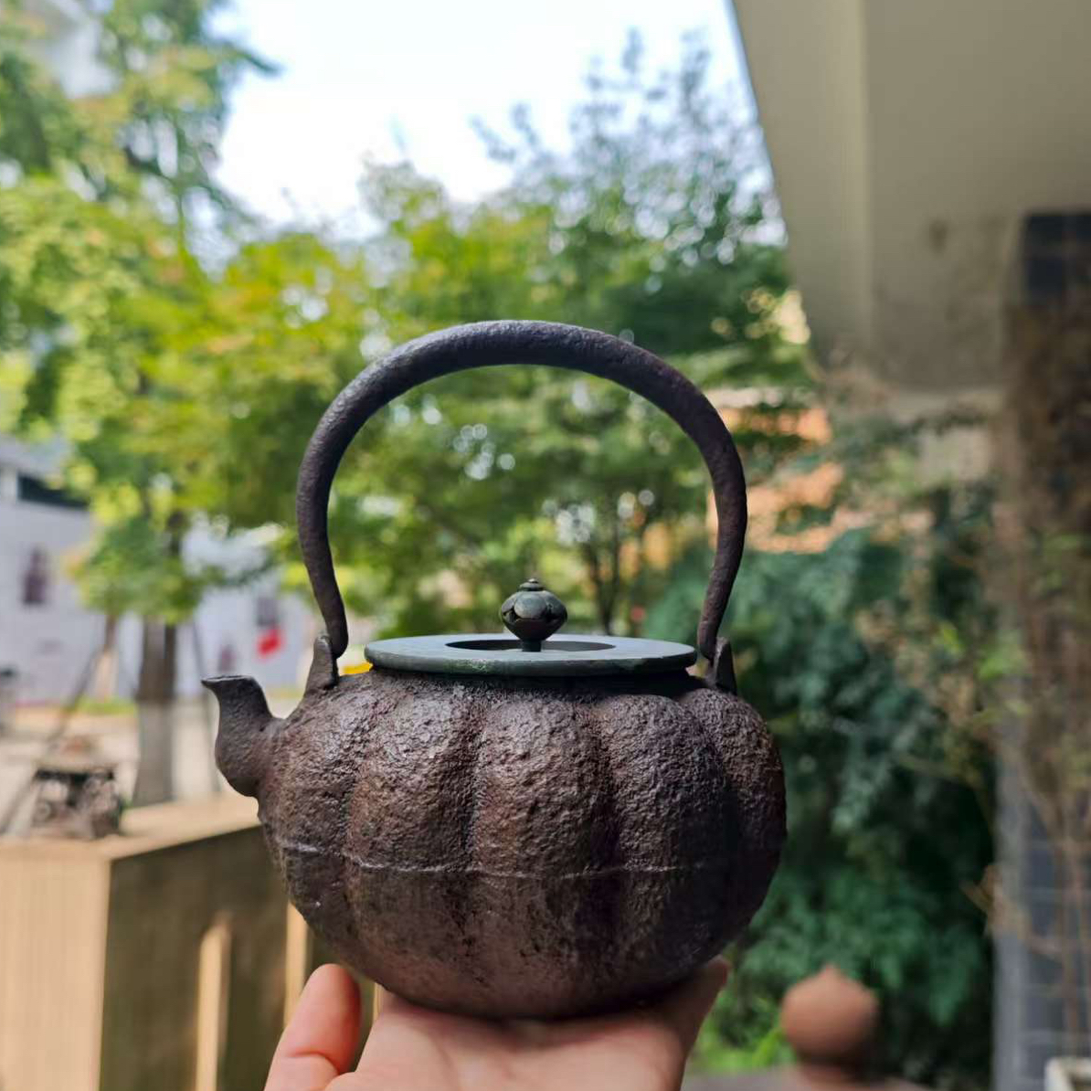 龙文堂-小南瓜-满水600cc-