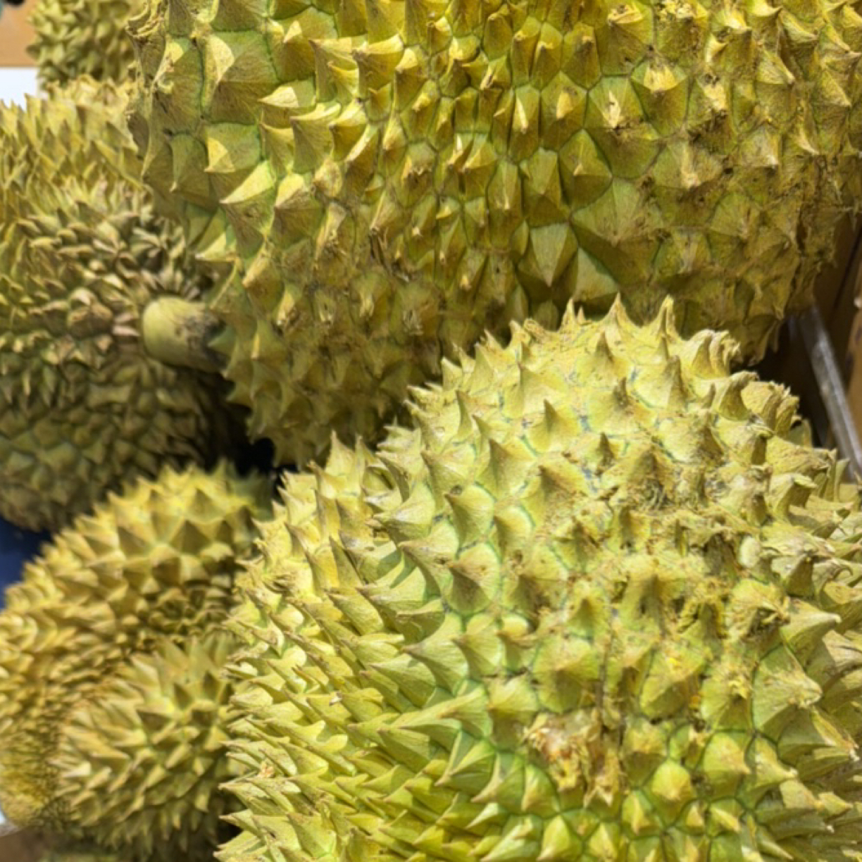 50 斤 新鲜越南榴莲现开果肉、核小、肉多金枕越南