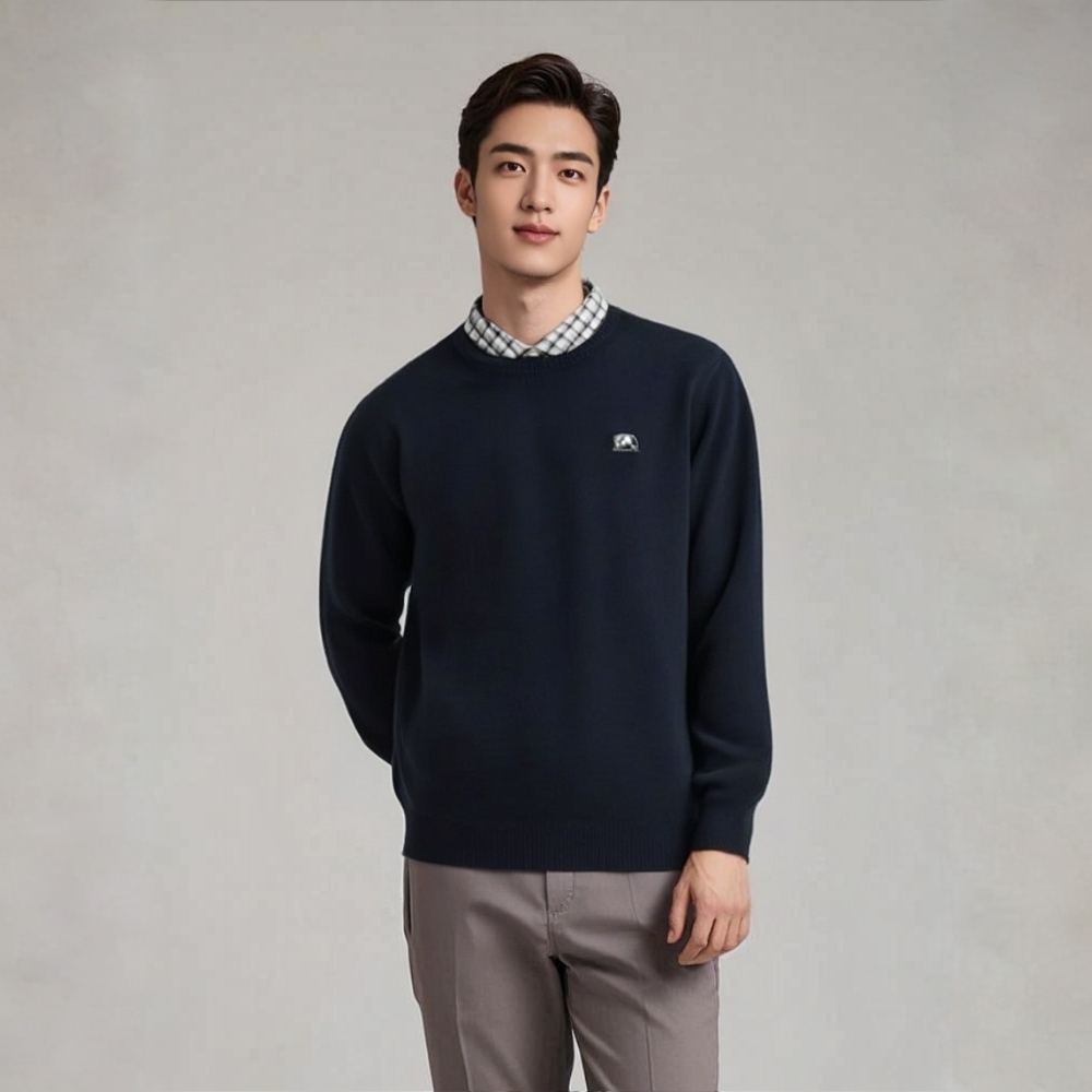 【200-400】H家剪标男士秋冬假两件男休闲百搭时尚上衣长袖经典毛衣