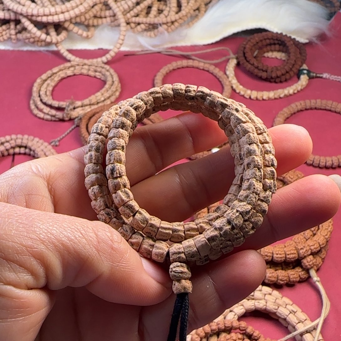 吊坠柏香籽/百香籽多棱大肠