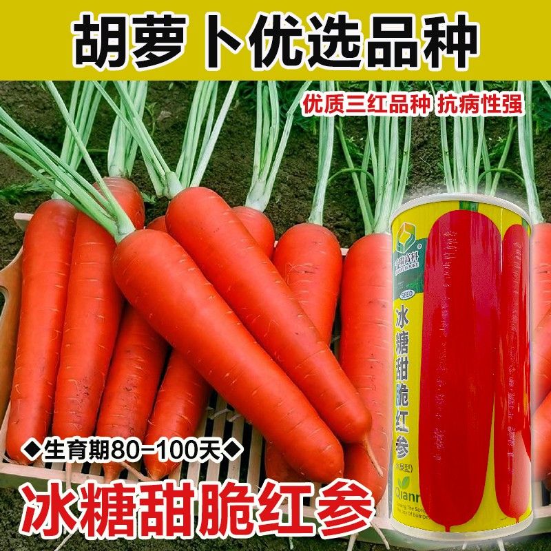 冰糖甜脆红参胡萝卜种籽种子四季秋冬八寸参红色水果萝卜蔬菜种孑