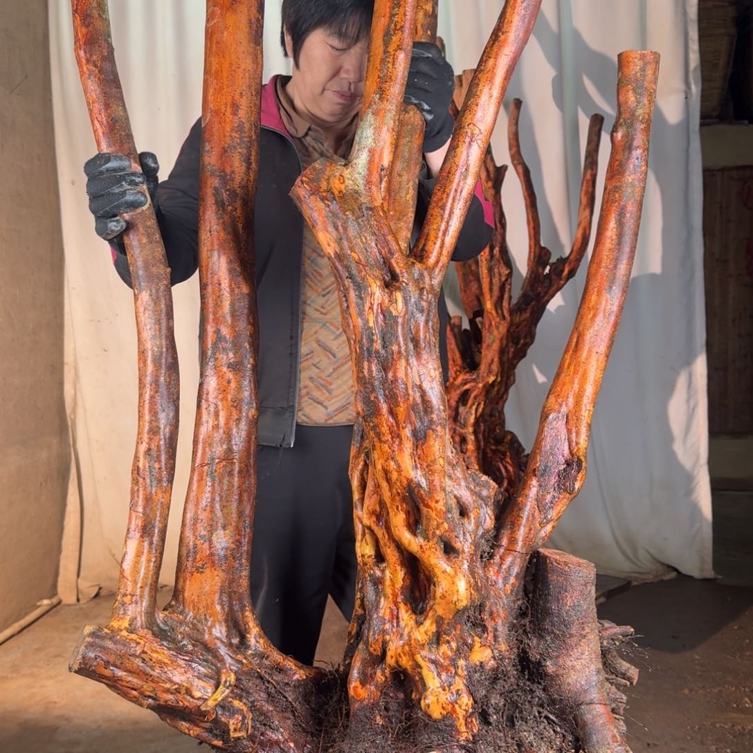 宏***虎8888888888888888