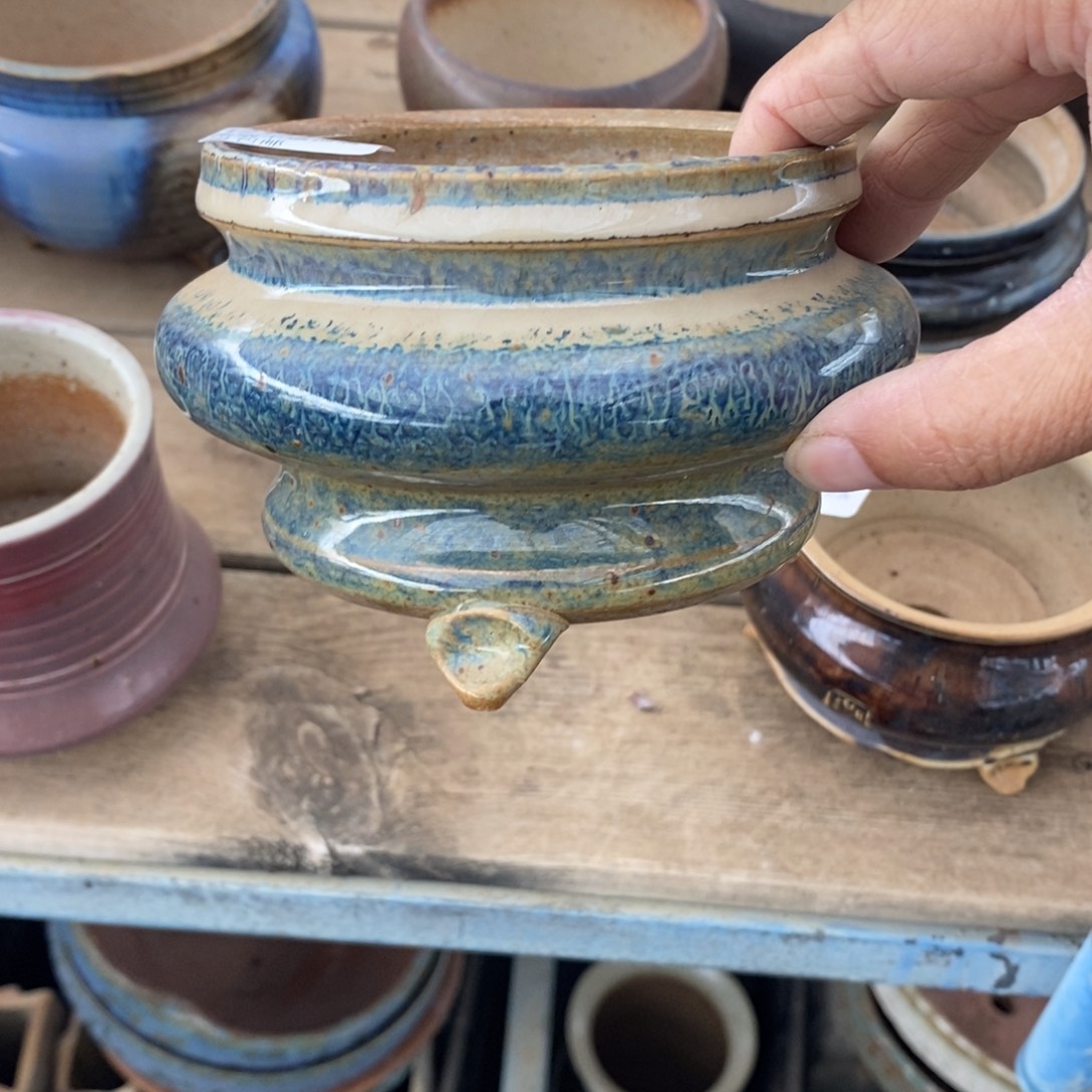 道***香107号多肉盆口径10