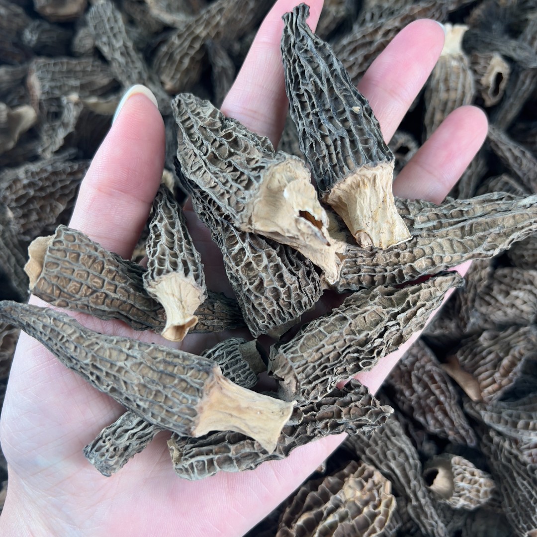 羊肚菌4−6六妹250克 瑕疵货