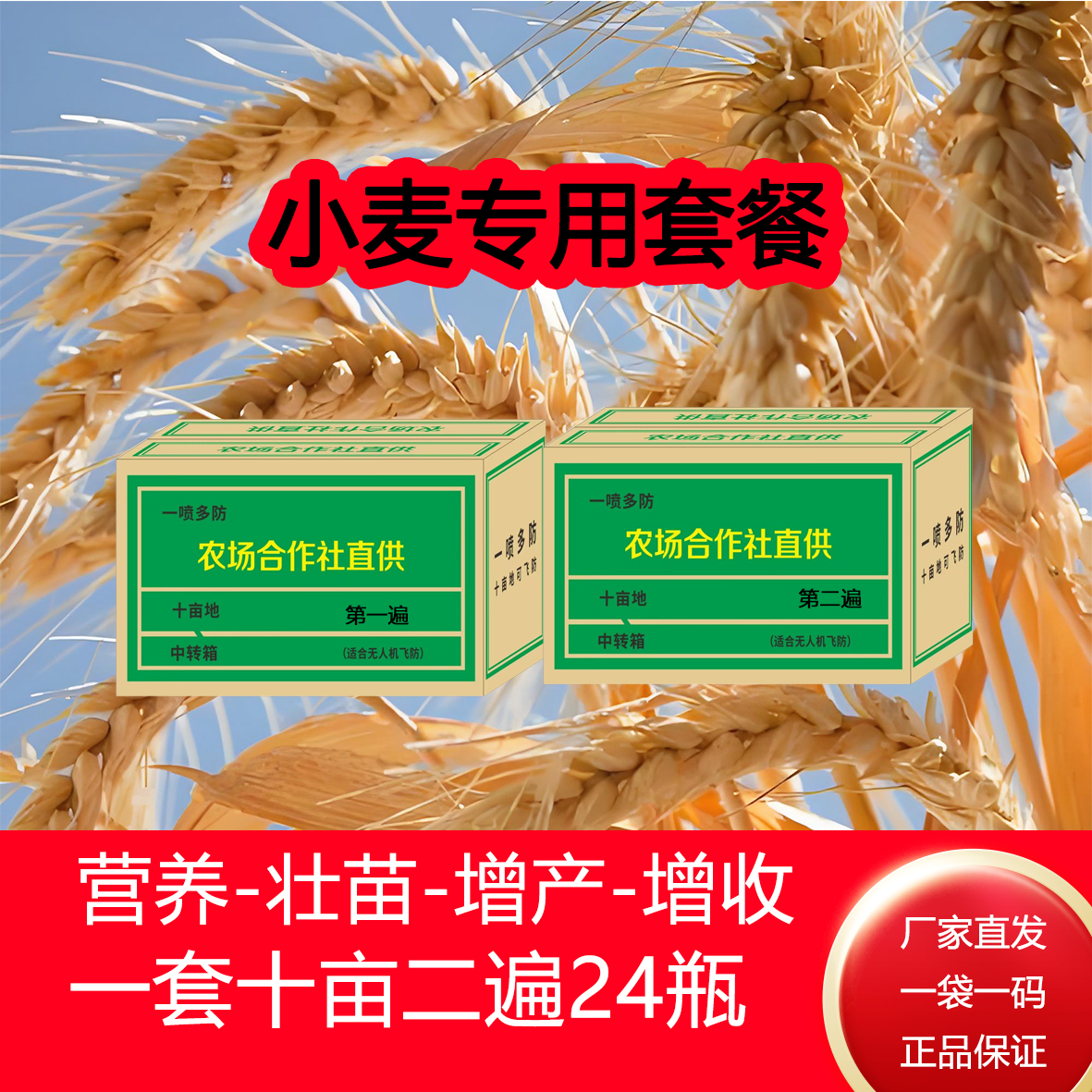 小麦一喷三防叶面肥全方案增产增收适用十亩地两遍