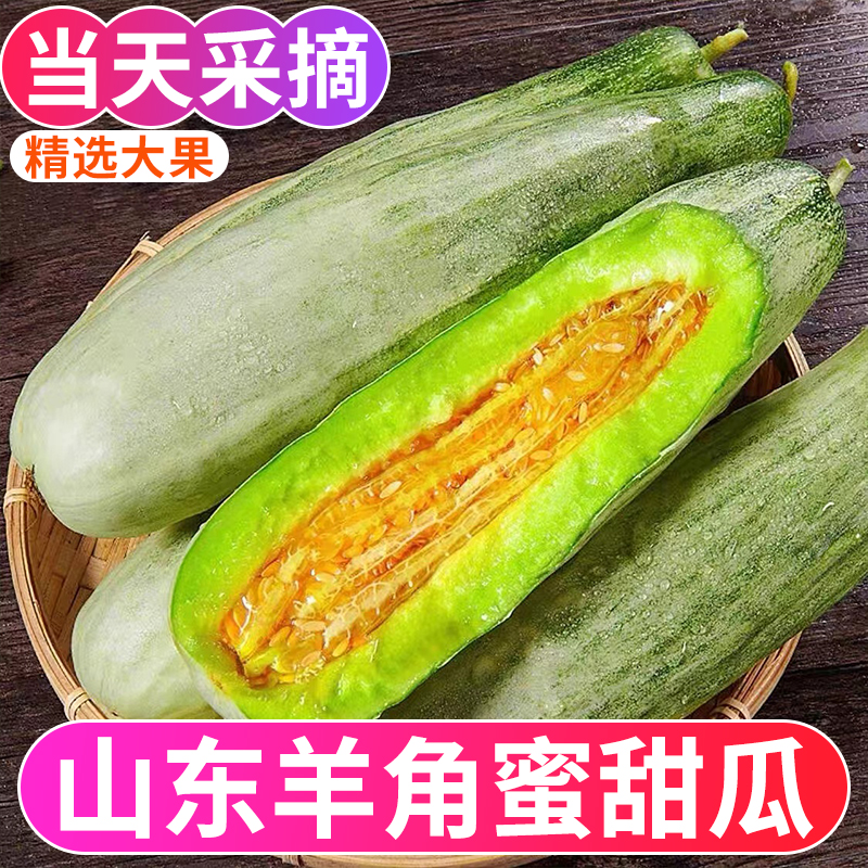 山东头茬羊角蜜甜瓜脆甜多汁酥脆香甜新鲜应季水果蜜瓜FH