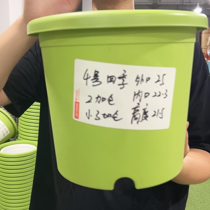 特价4号口25高21.5果绿色8只无托