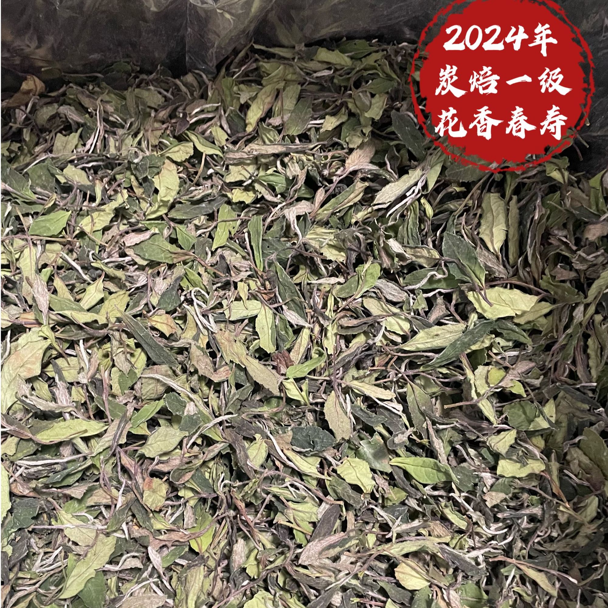 2024年炭焙一级春寿眉福鼎白茶磻溪茶