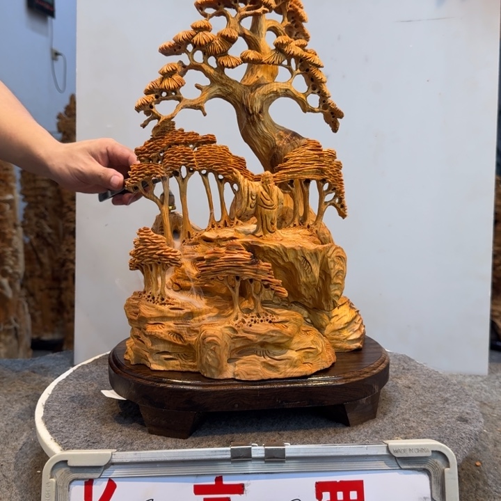 柏木（崖柏）崖柏111111