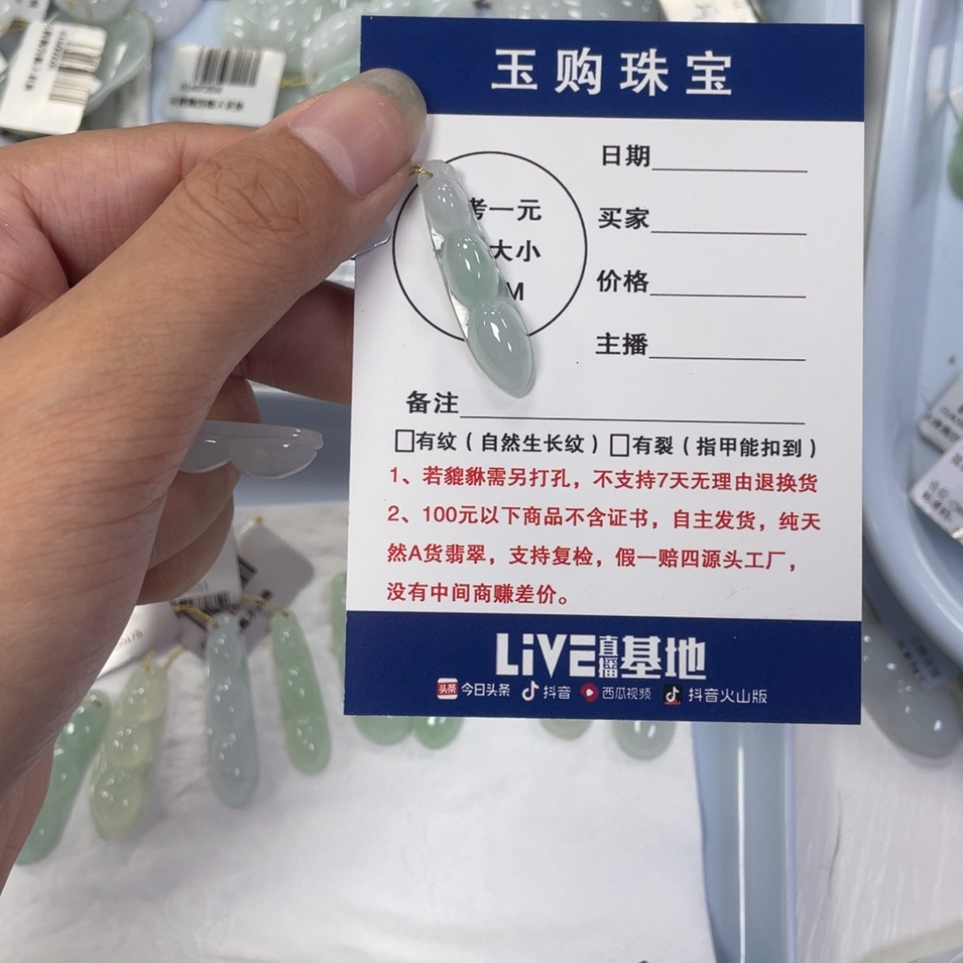 翡翠未镶嵌颈饰福豆
