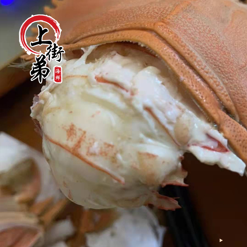 【缺氧虾排】福州发货 鲜活新鲜虾排九齿扇虾 海鲜水产产品