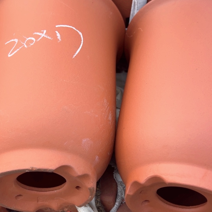 红陶紫砂兰花盆微瑕