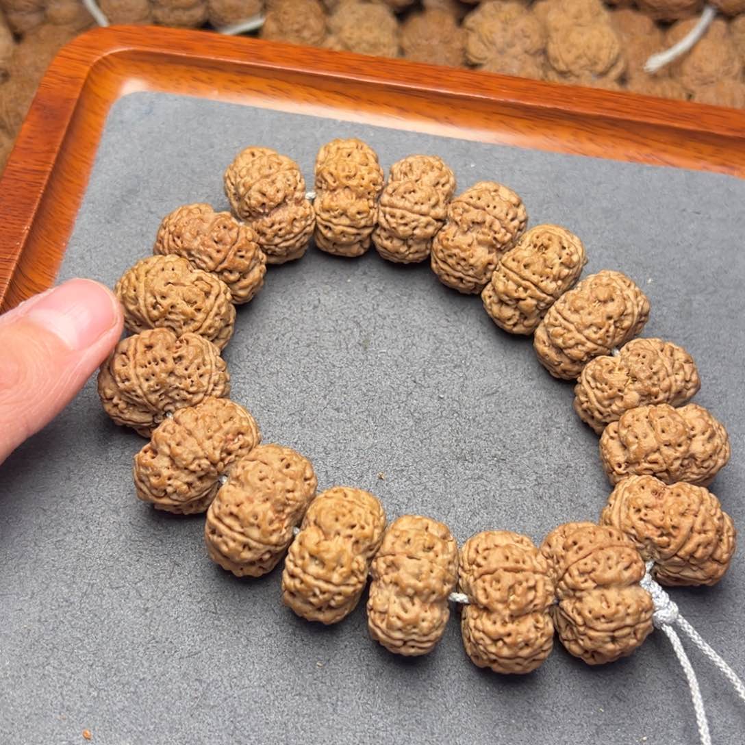 菩提19号尼泊尔大金刚24梅花夹板