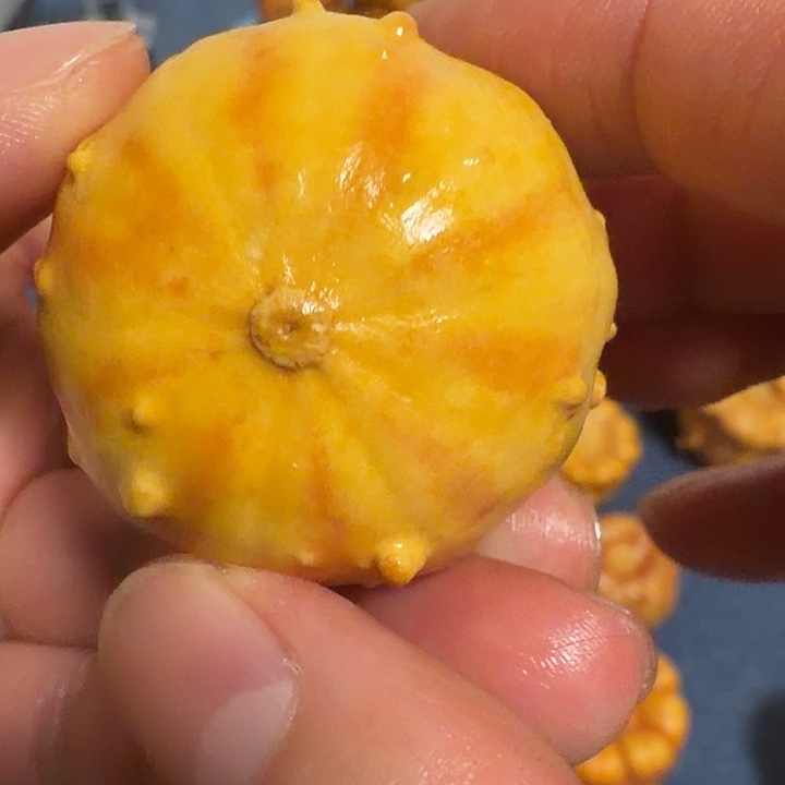 D***u墨西哥七彩疙瘩葫芦