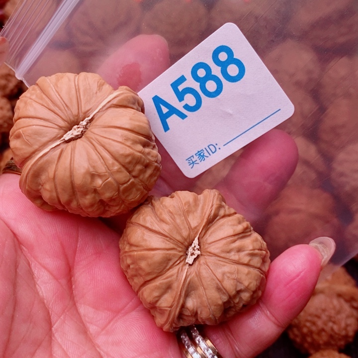 南瓜41尺588号123