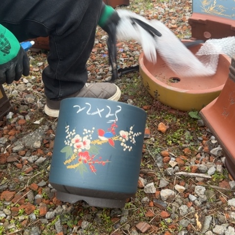 红陶紫砂花盆盆景盆栽