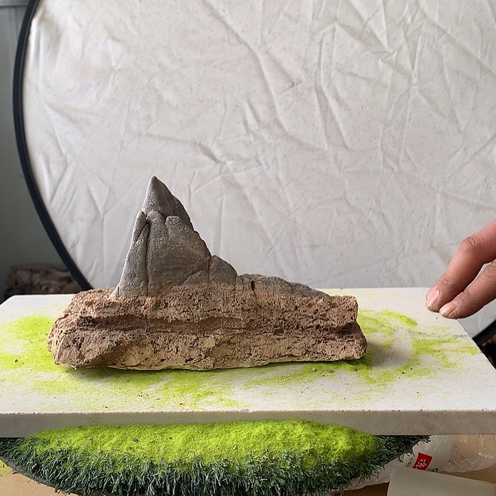 花盆摆件家居装饰