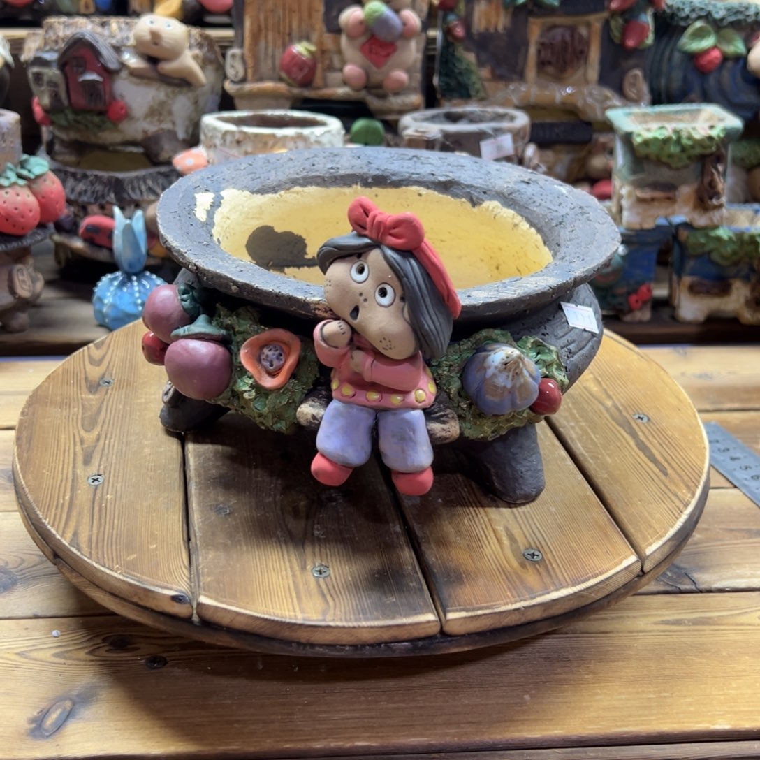 嘻哈多肉花盆百搭