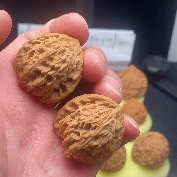 文玩核桃把件闪电17