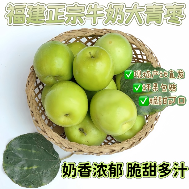 福建牛奶大青枣新鲜现摘现发脆甜多汁当季新鲜水果原产地直发枣子