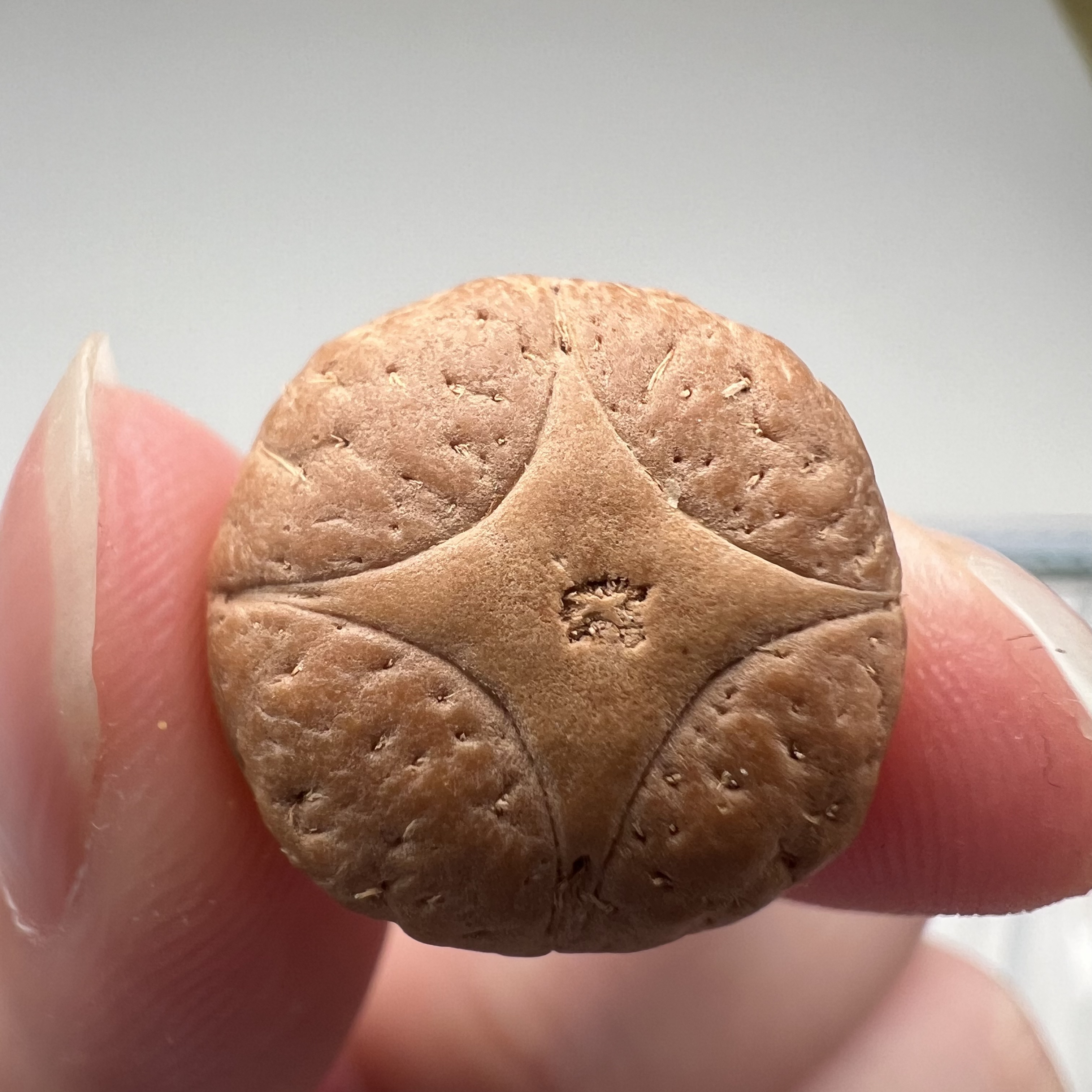 尼泊尔麒麟三通17➕货号9