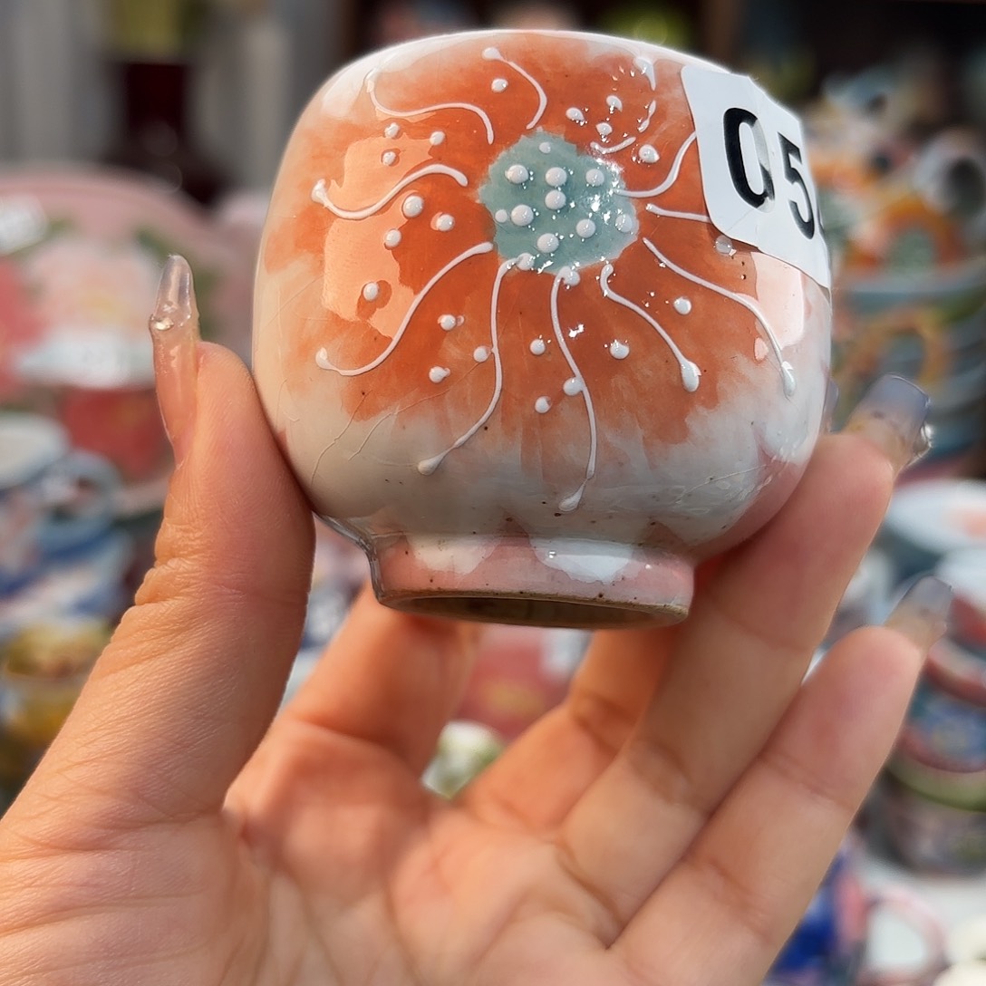 瓷片这就是所谓一群小鲜