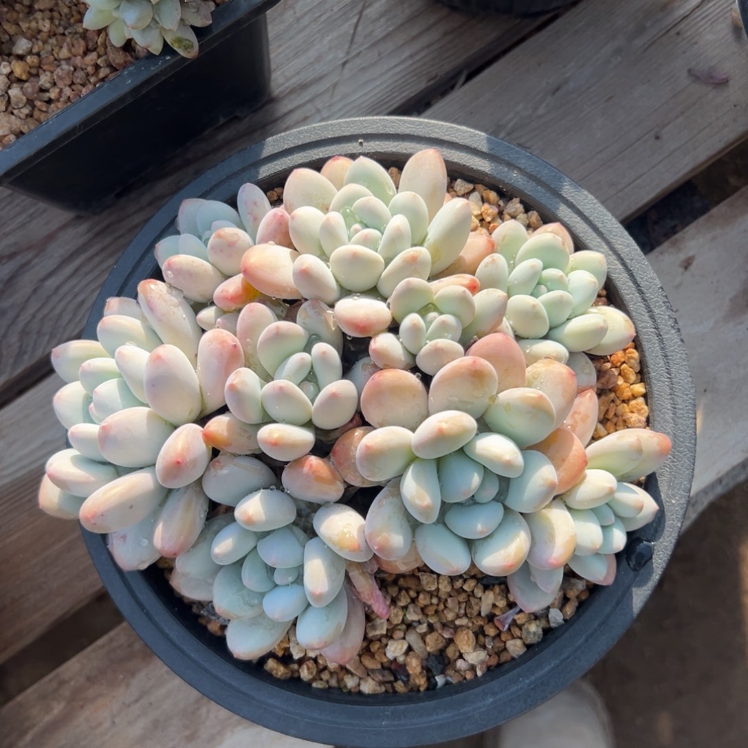 特价香水11111111111111111