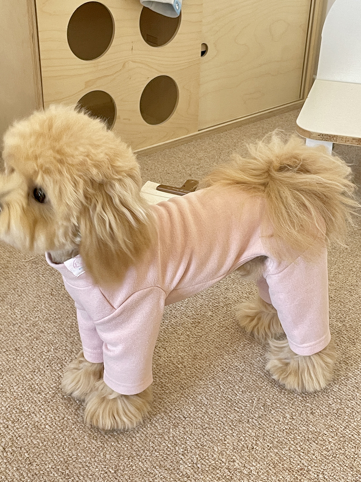 狗狗衣服秋冬新款德绒超柔保暖弹力连体四脚衣小型犬防着凉家居服