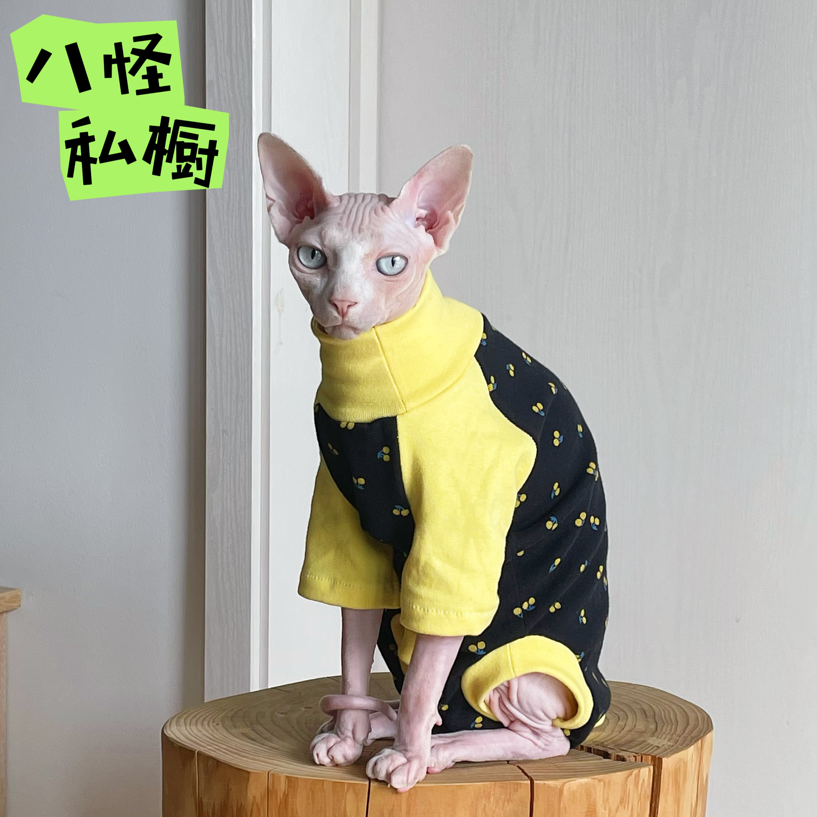 手工制作无毛猫德文猫纯棉羊绒高弹透气针织黄黑拼色四脚衣