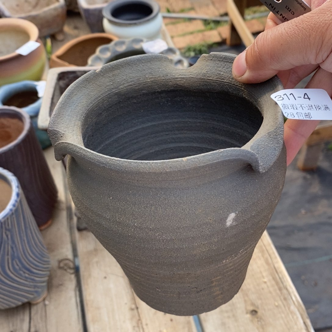 红陶4号多肉盆一个呀