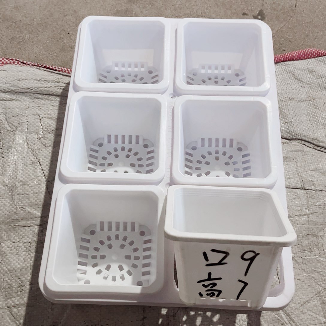 塑料福利款9方白色盆12个盆带2拖架