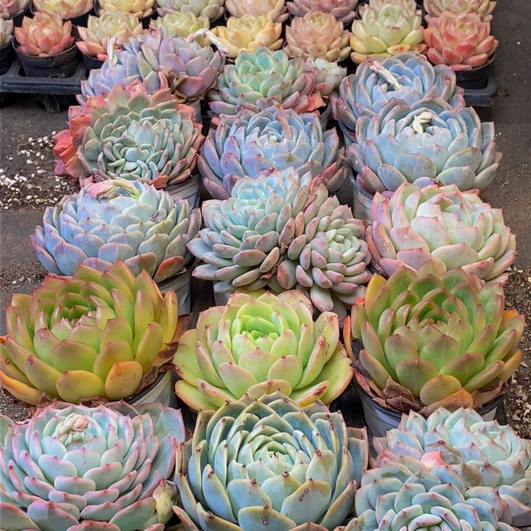 151多人在一起的时候我