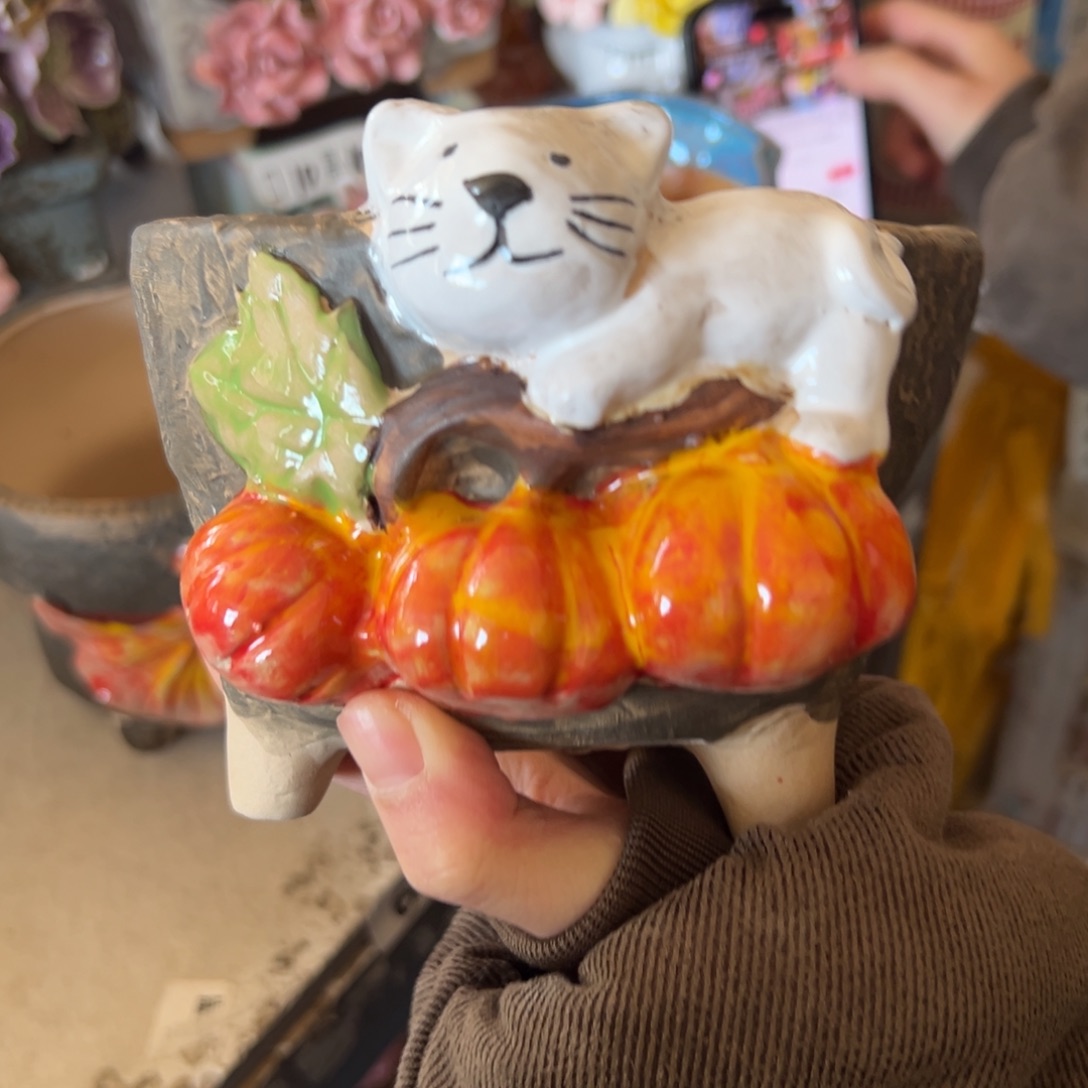 花盆，拍满20发货，退款拉黑