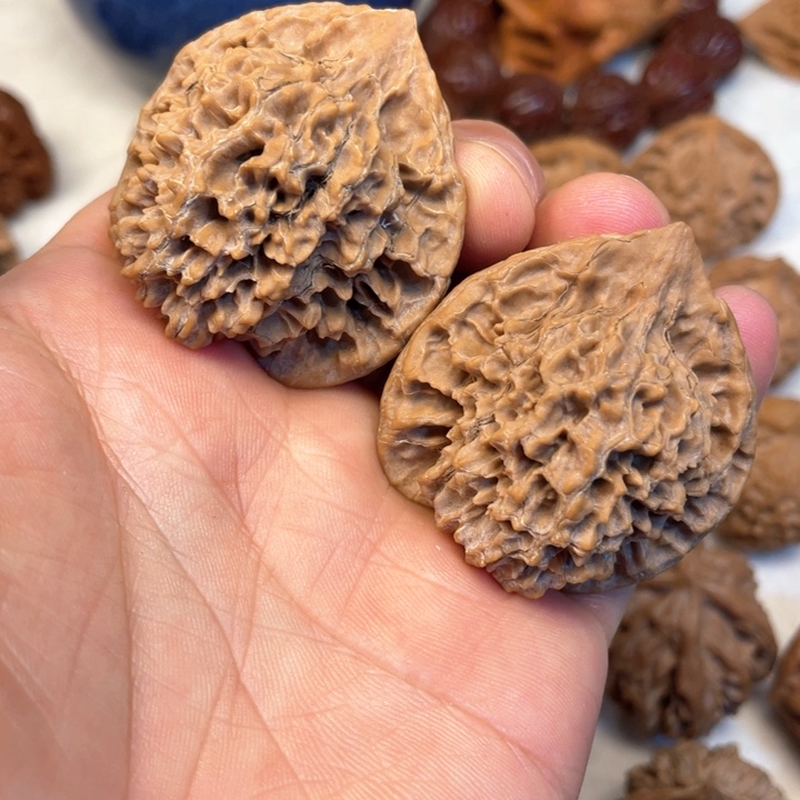 核桃其他蜈*秦岭核桃种植