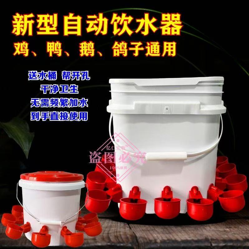鸡鸭鹅自动喂料器家离自动喂食器户外一体防雨防风鸡鸭鹅通用食槽