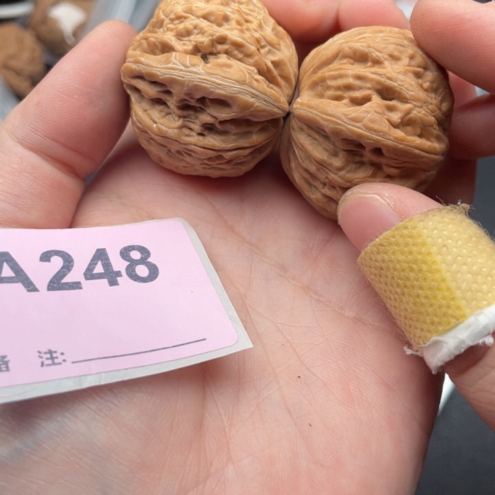 文玩核桃吊坠核桃