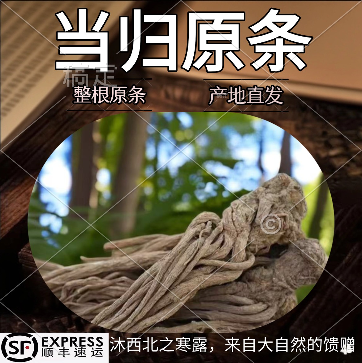甘肃岷县精选正宗当归原条无硫滋补煲汤泡酒佳品