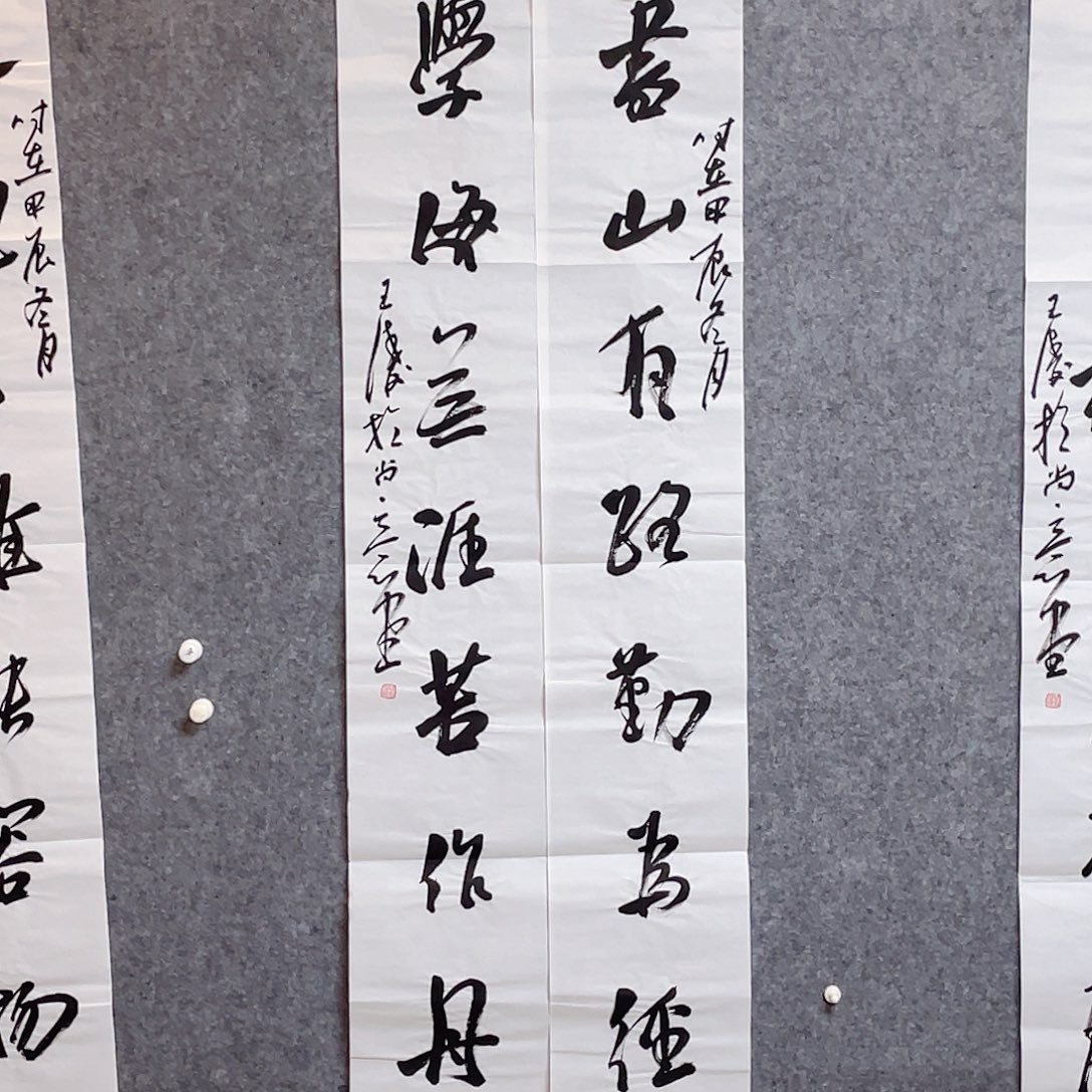 书法中书协会员王涛138×25×2