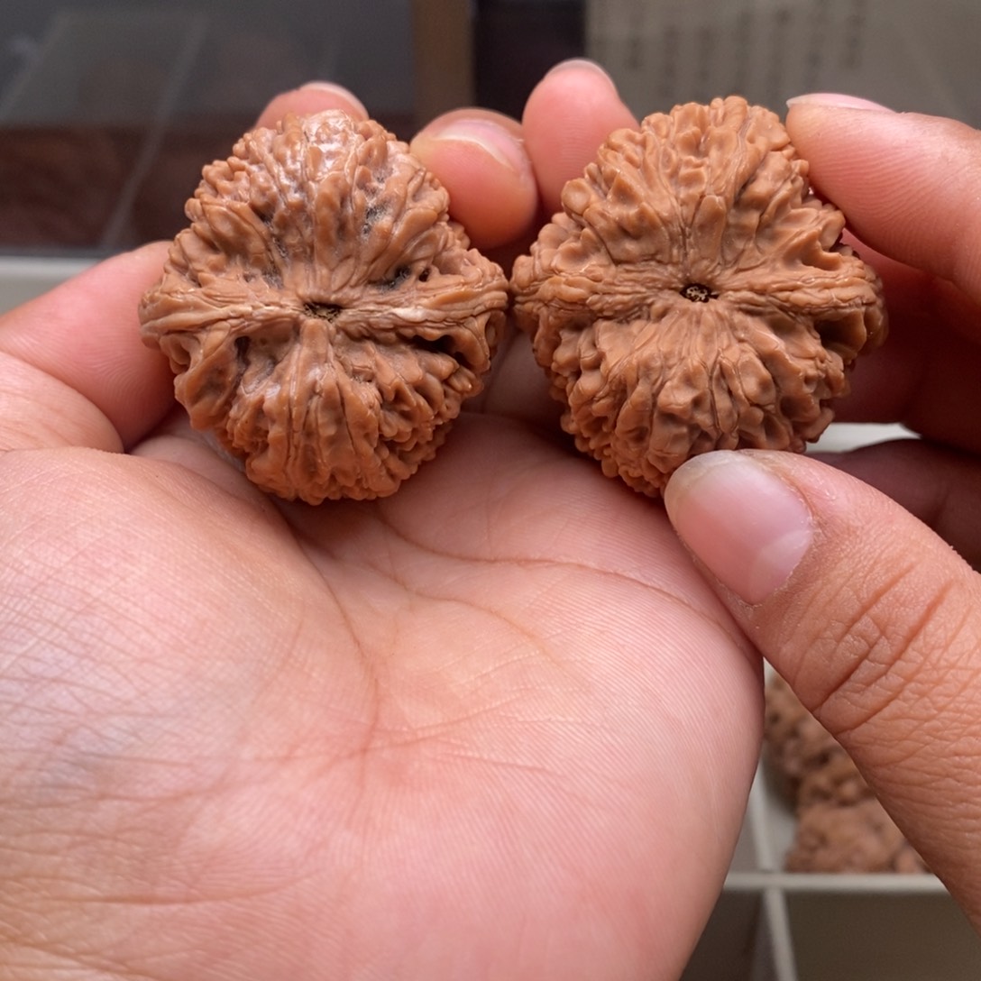 文玩核桃把件37大蒜