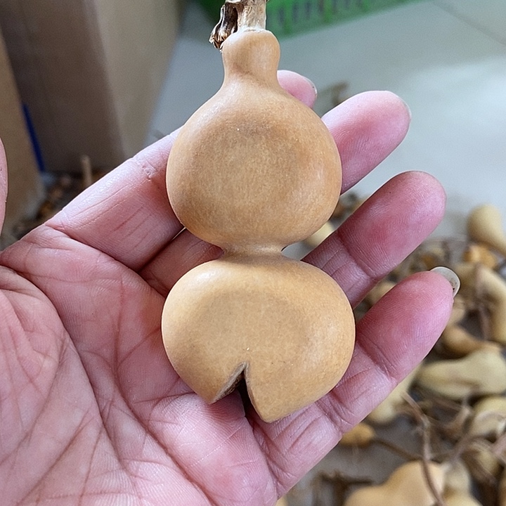 a h b s b x ba as