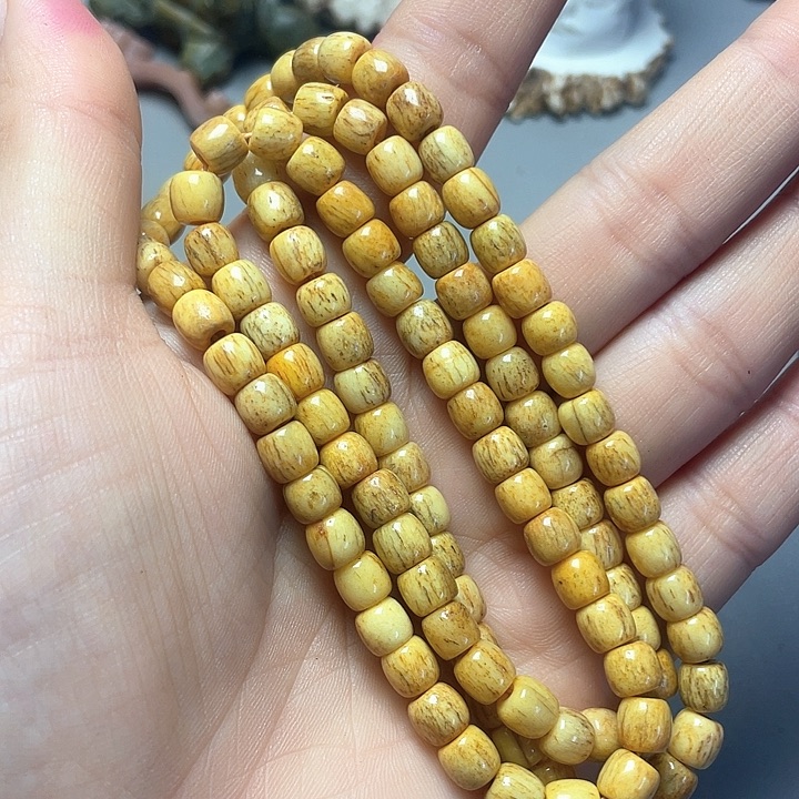 大果紫檀（缅甸花梨）