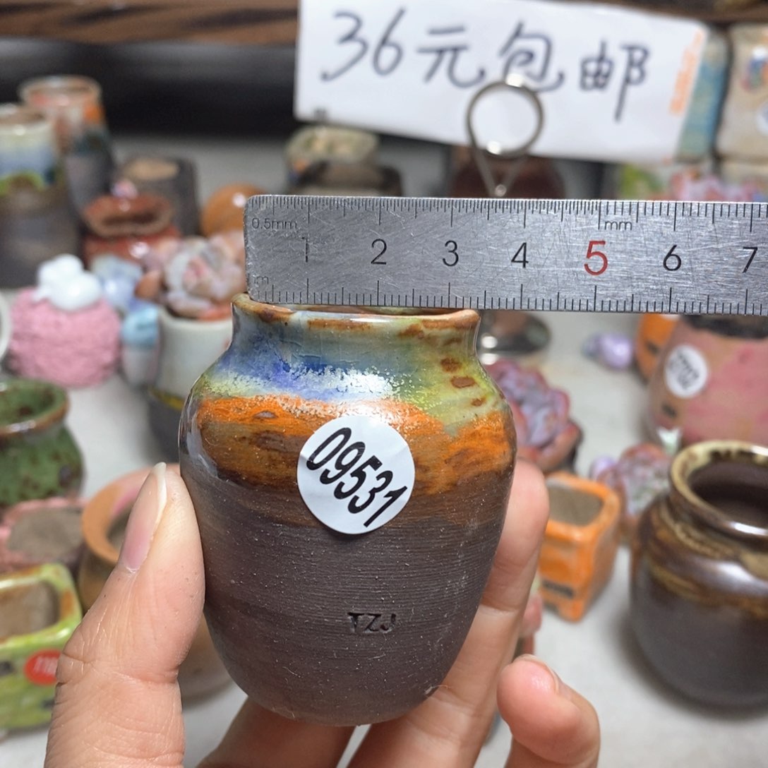 拍5送一个小礼物